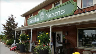 Sheridan Nursery Fall Market 2021!